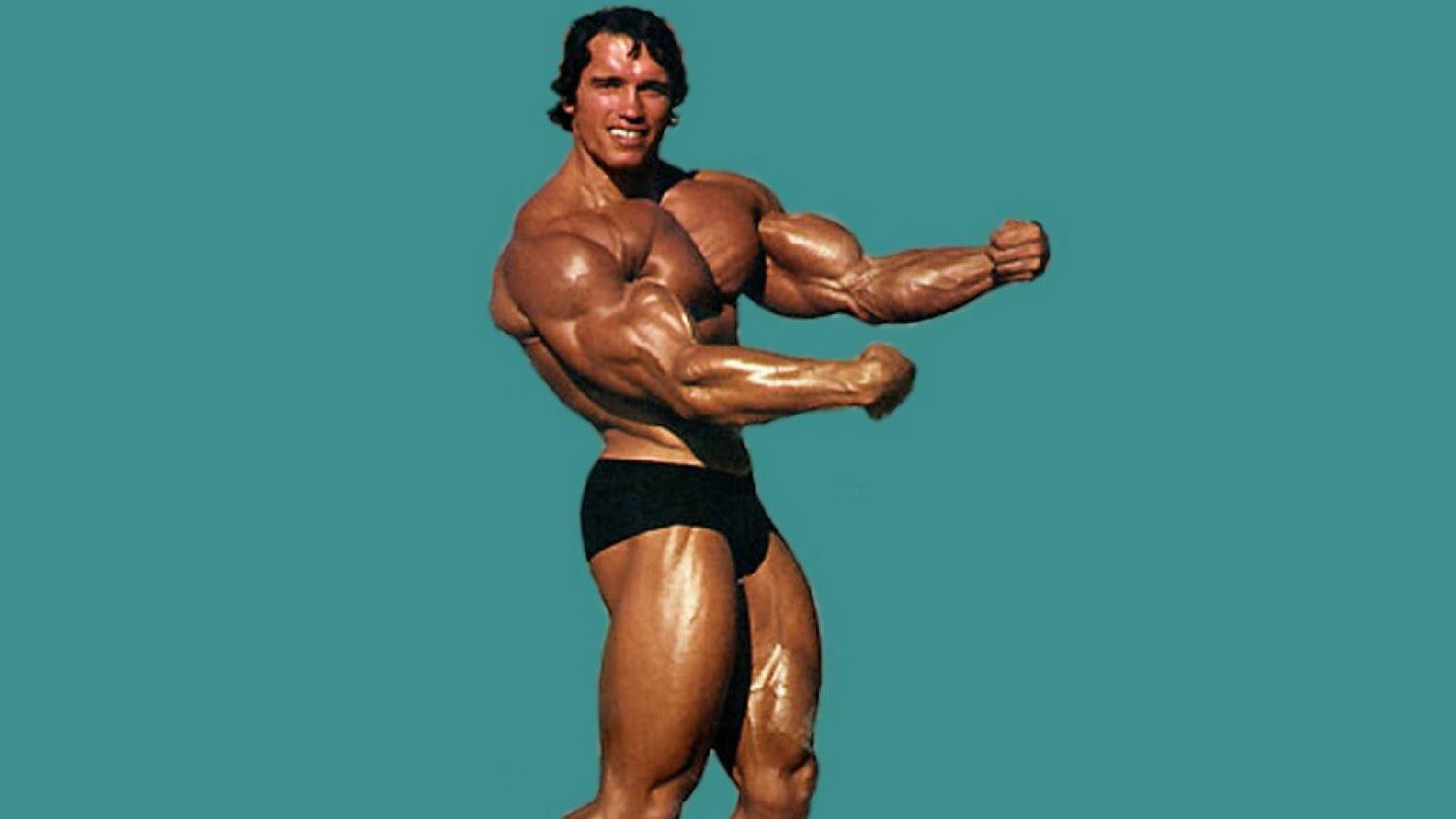 1600x900 Arnold Wallpaper