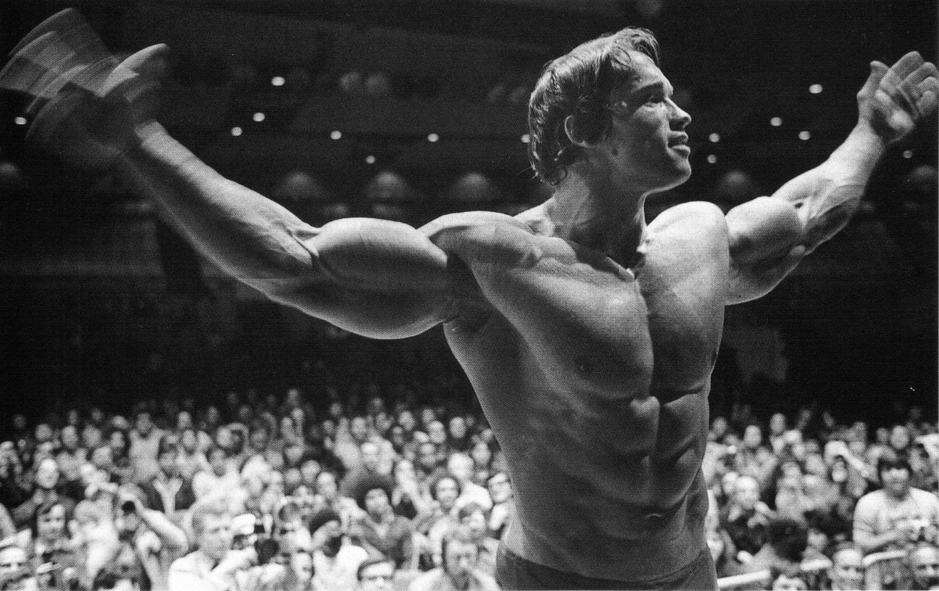 1920x1208 Arnold Bodybuilding Wallpaper