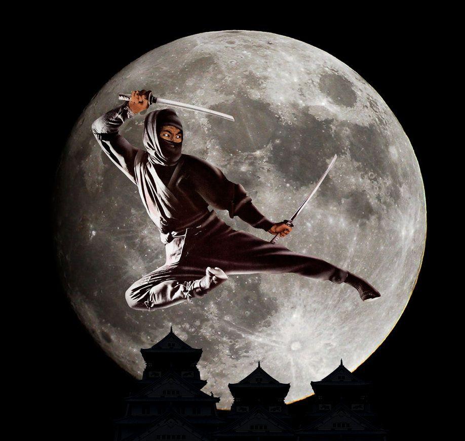 Sho Kosugi Wallpapers - Top Free Sho Kosugi Backgrounds - WallpaperAccess