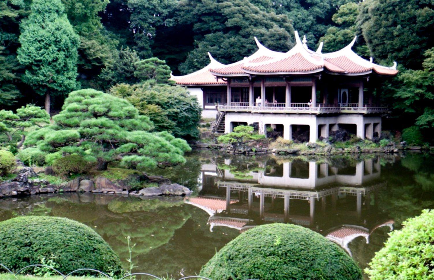 1504x972 Shinjuku Gyoen Wallpaper