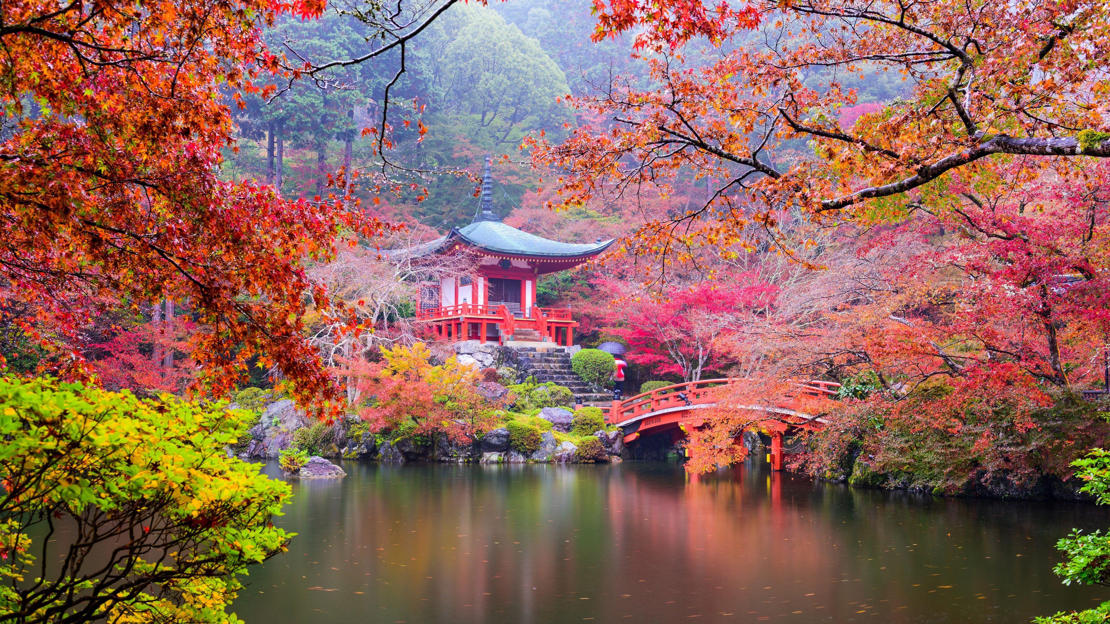 3840x2160 Hình nền Nhật Bản, Kyoto, công viên, Chùa, những chiếc lá đầy màu sắc, cây, ao