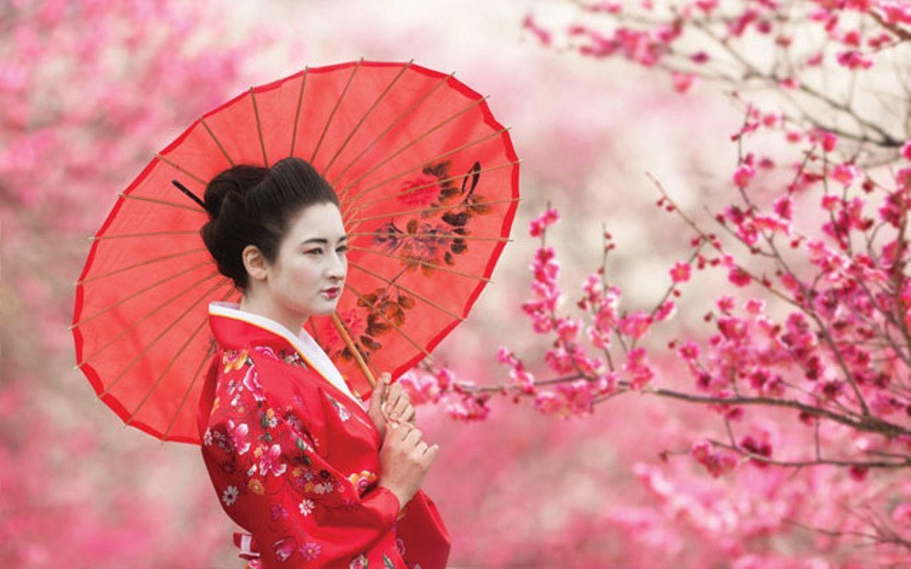 Kyoto Geisha Wallpapers Top Free Kyoto Geisha Backgrounds WallpaperAccess