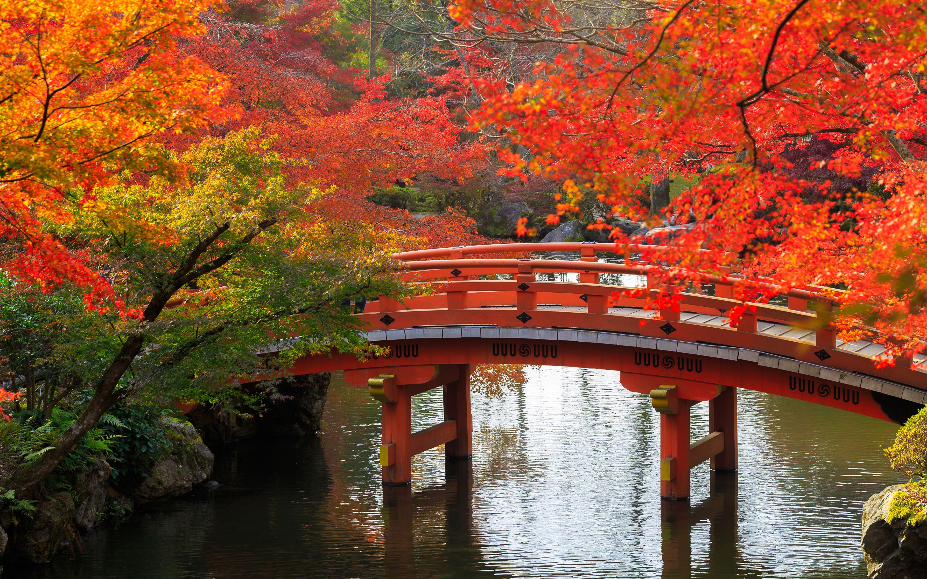 kyoto-fall-wallpapers-top-free-kyoto-fall-backgrounds-wallpaperaccess