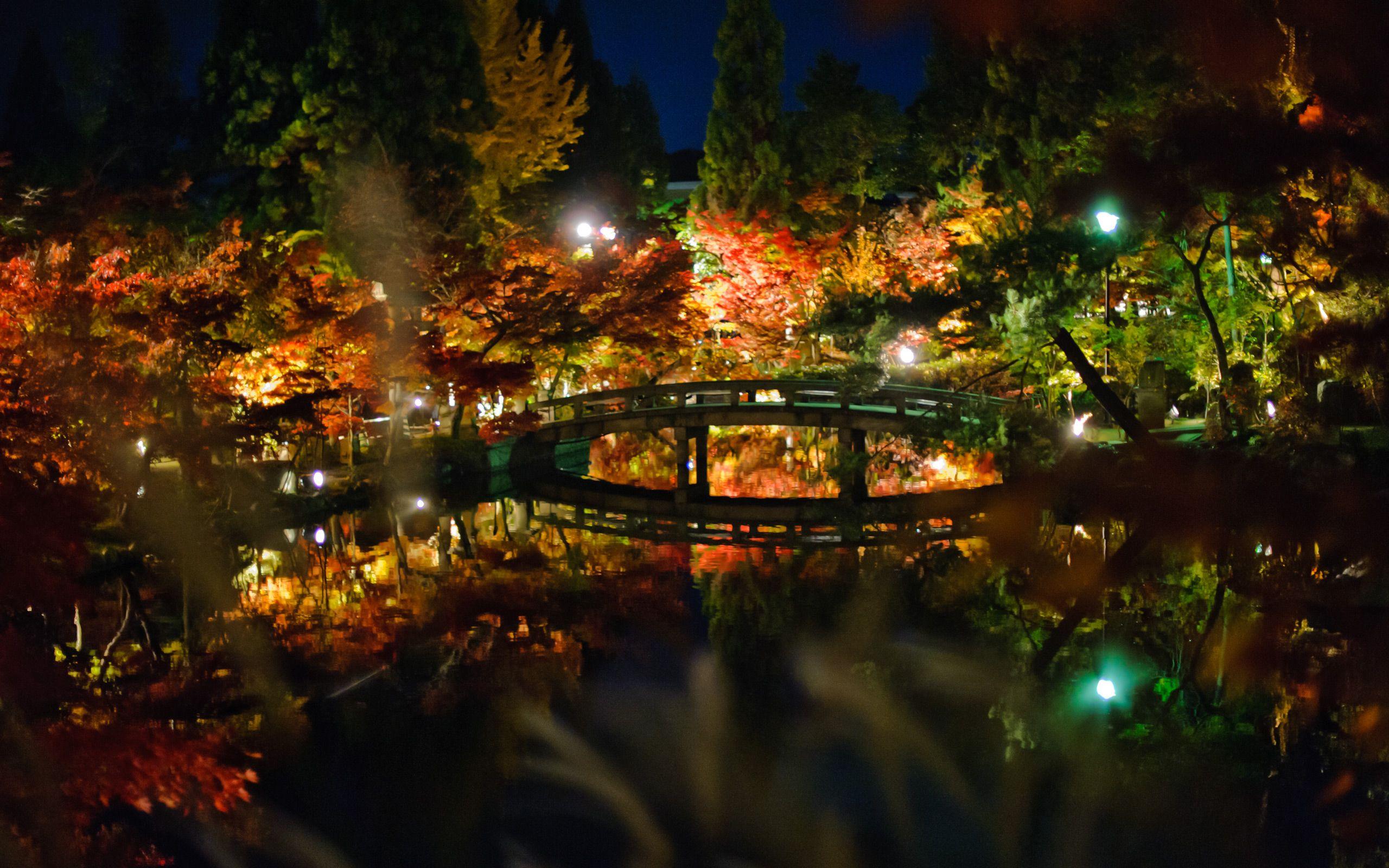 Kyoto Night Wallpapers Top Free Kyoto Night Backgrounds WallpaperAccess