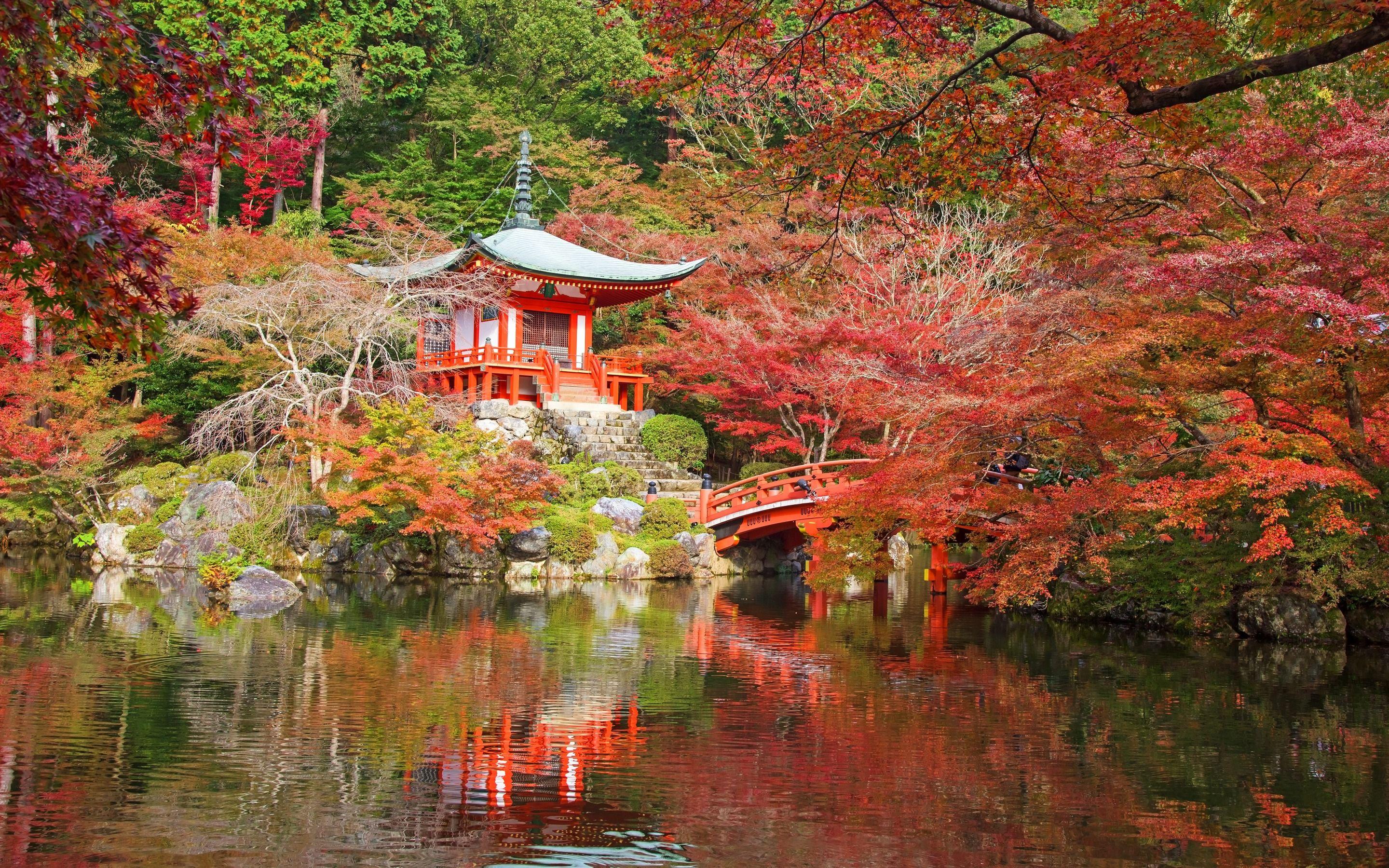 Kyoto Fall Wallpapers - Top Free Kyoto Fall Backgrounds - WallpaperAccess