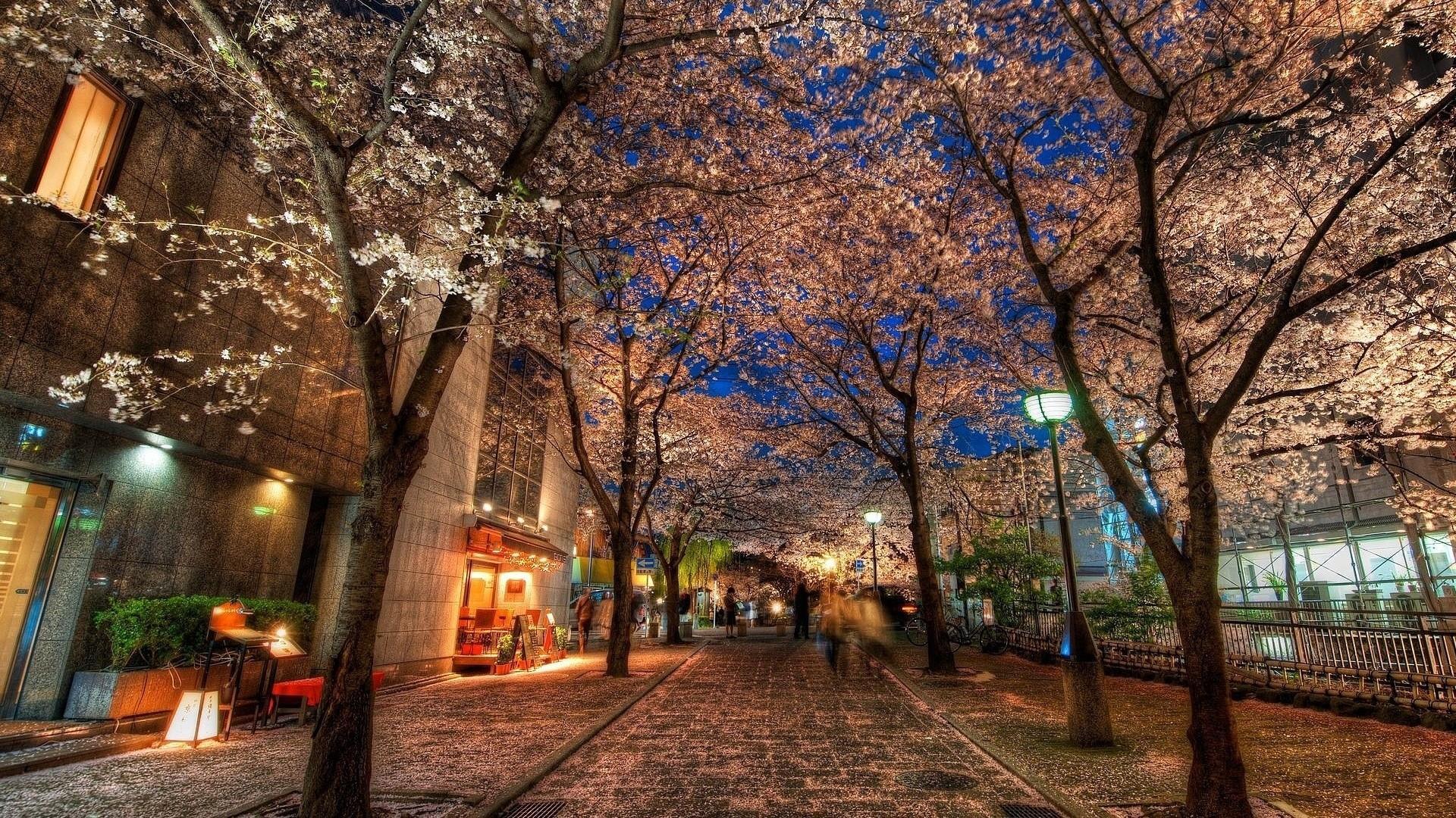 1920x1080 Kyoto Wallpaper
