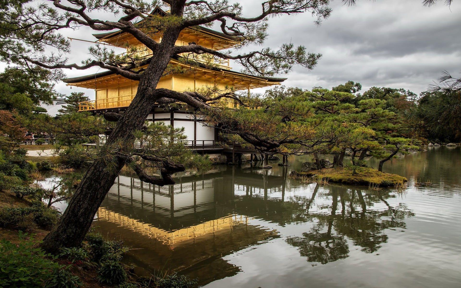 1920x1200 Beige, white, and black temple, Kyoto, Japan, temple, nature
