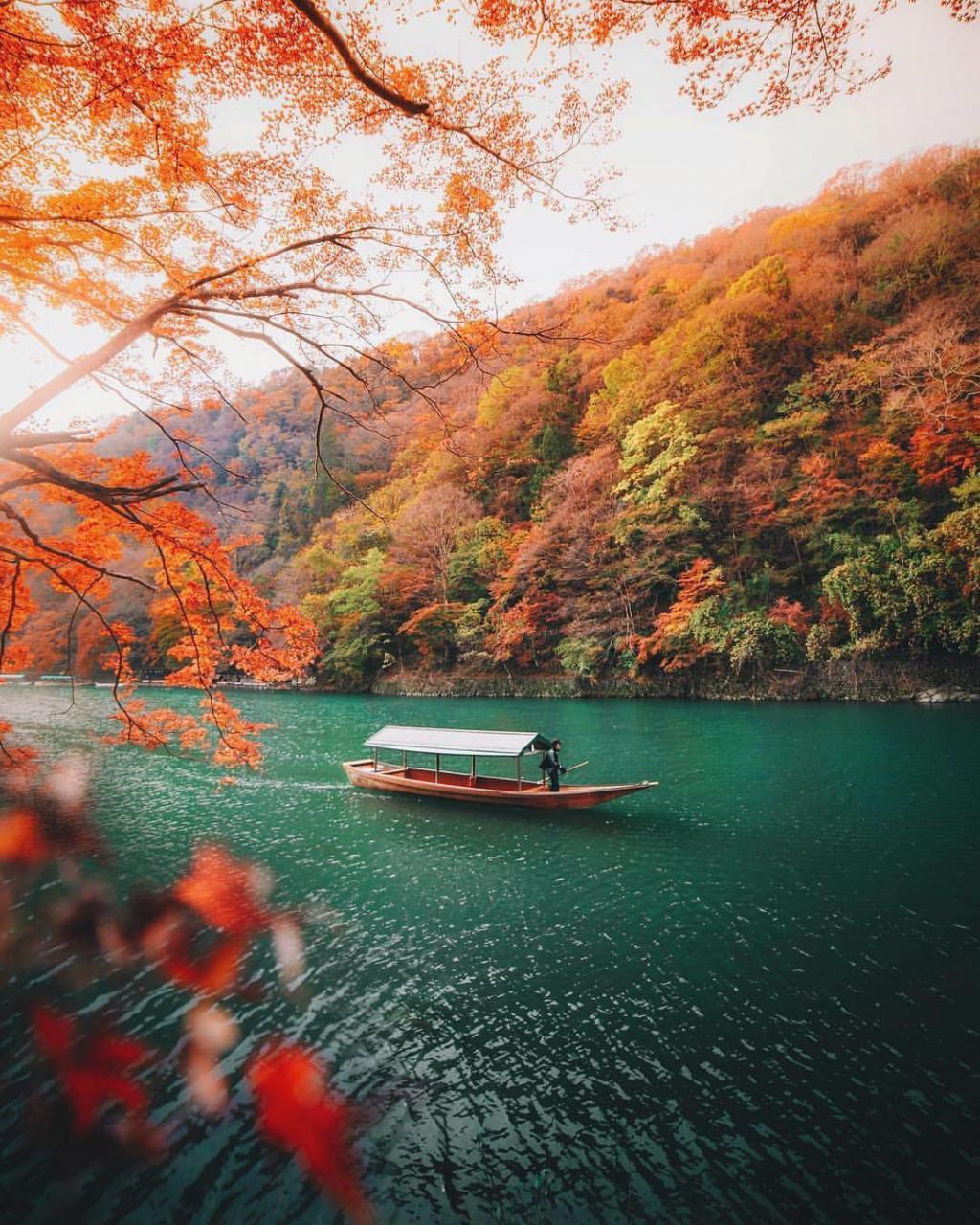 1024x1280 Fall colors in Kyoto, Japan (1080x1350) Uber Wallpaper
