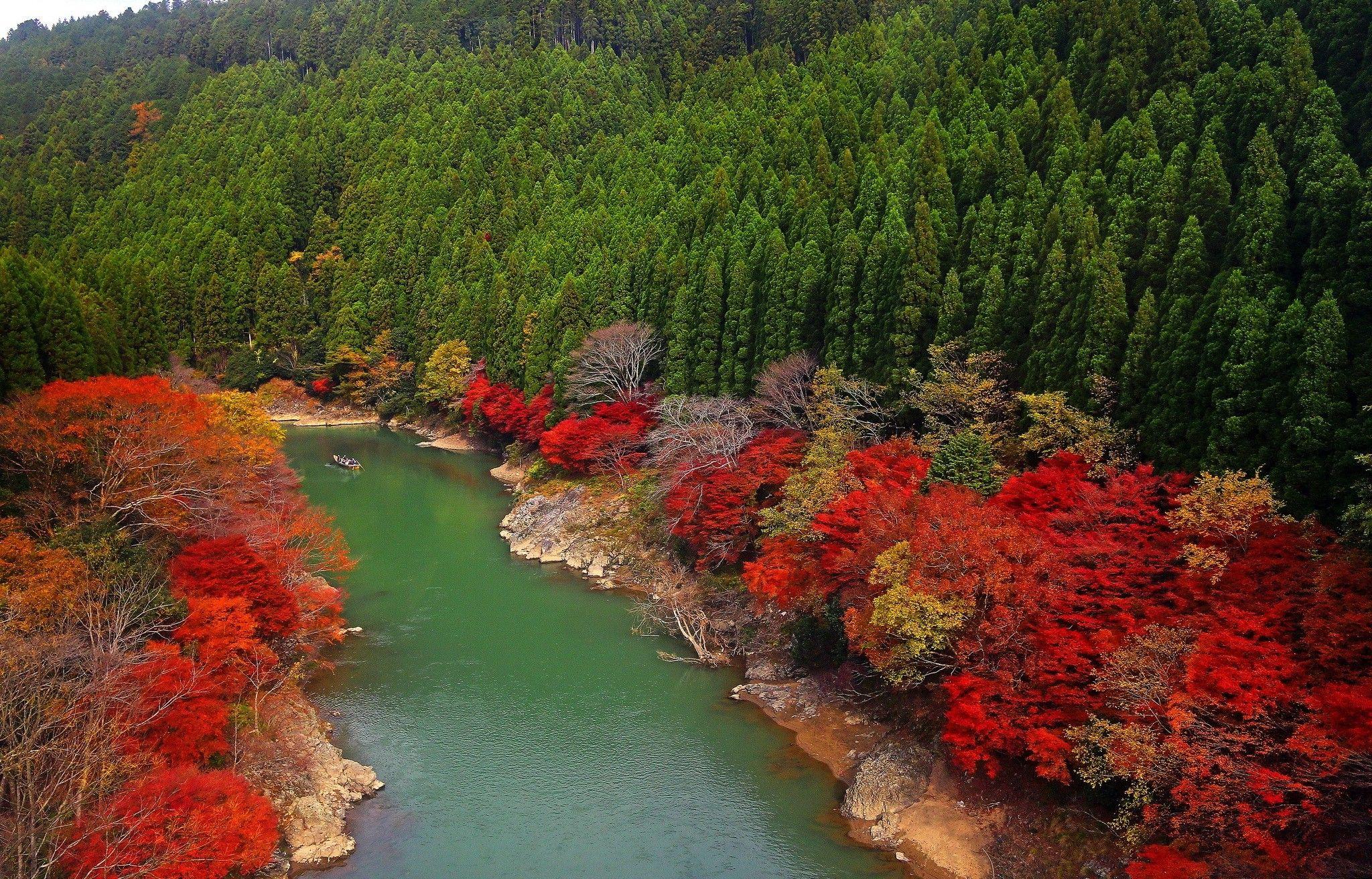 2048x1312 Autumn Trees in Kyoto, Japan HD Wallpaper