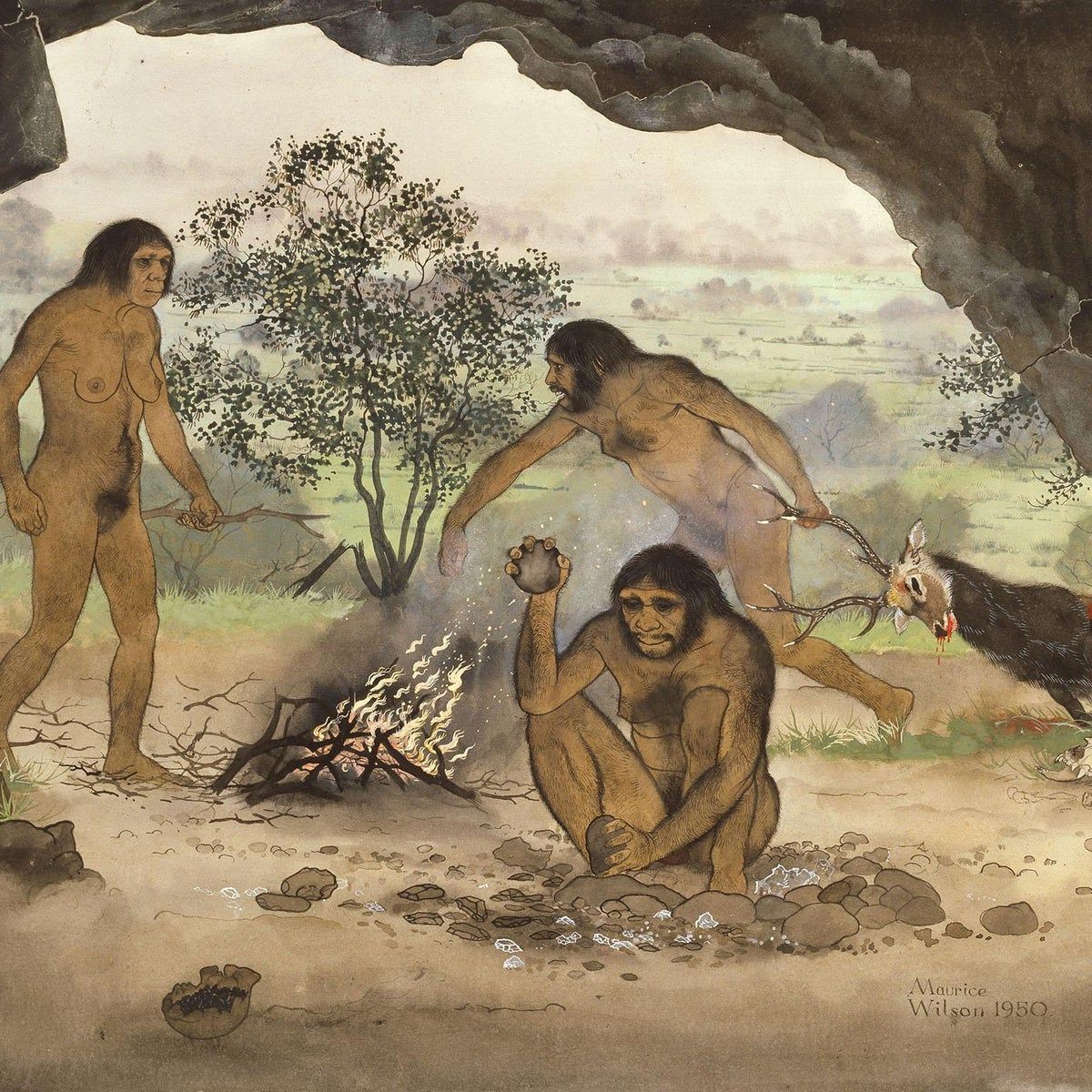 1200x1200 Homo erectus: Early humans were able to