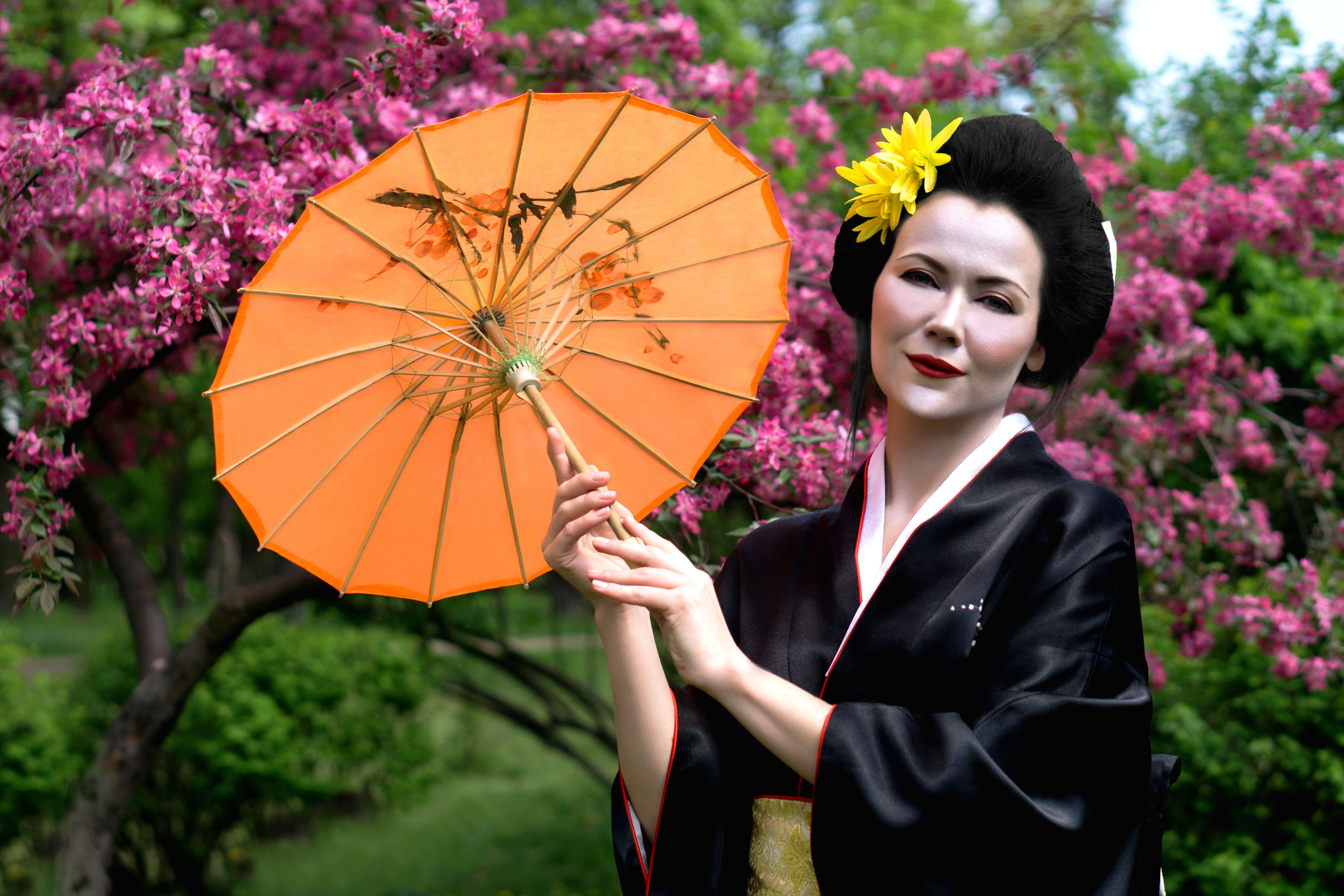 6000x4000 Free of flowers, geisha, grass