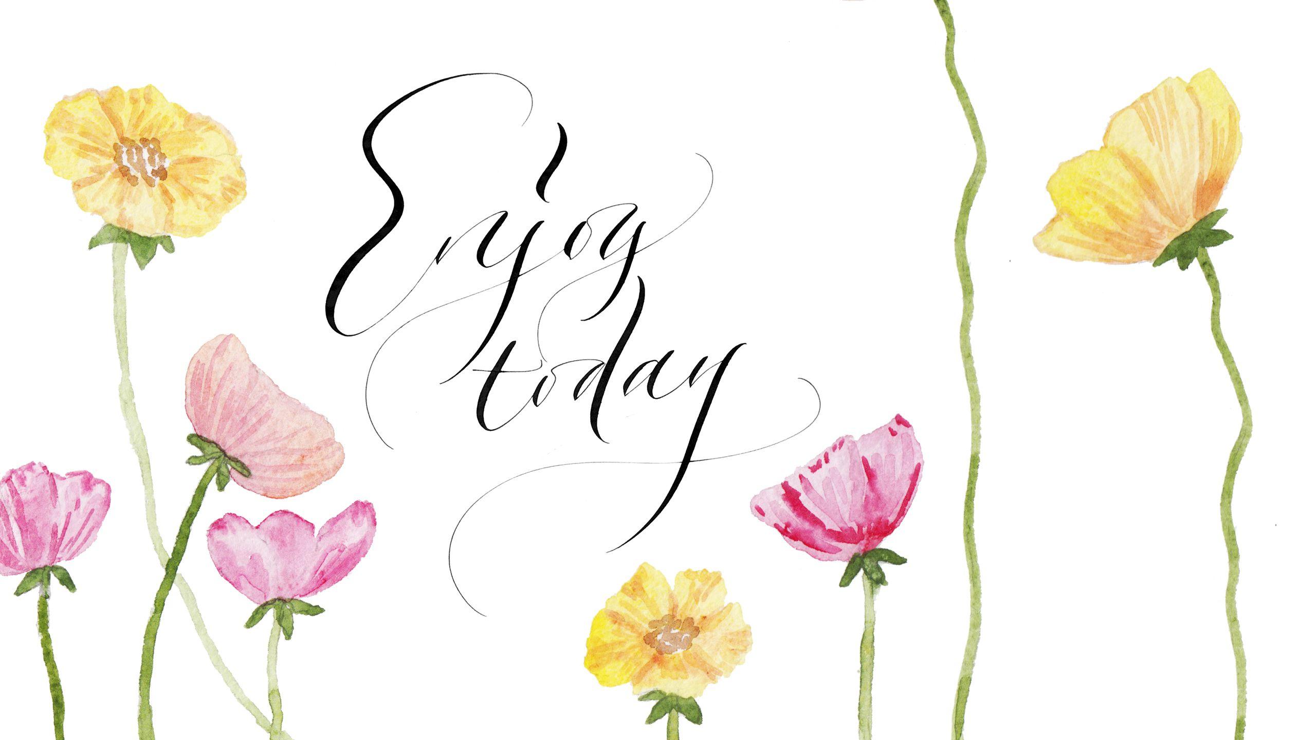 2560x1440 Feminist Wallpaper Tumblr Desktop Background Feminine Mood