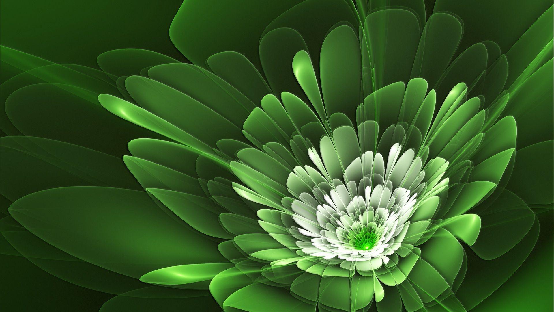 1920x1080 HD Green Wallpaper Background For Free Download