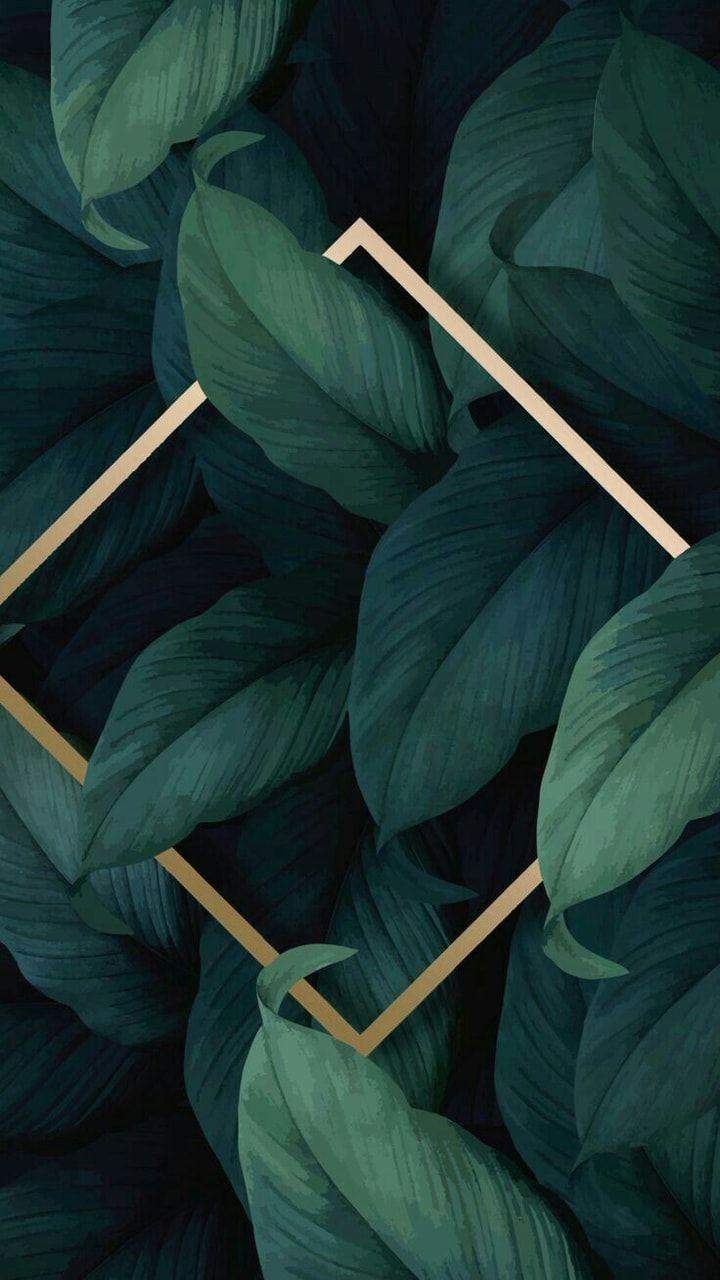 720x1280 Plant Wallpaper Love