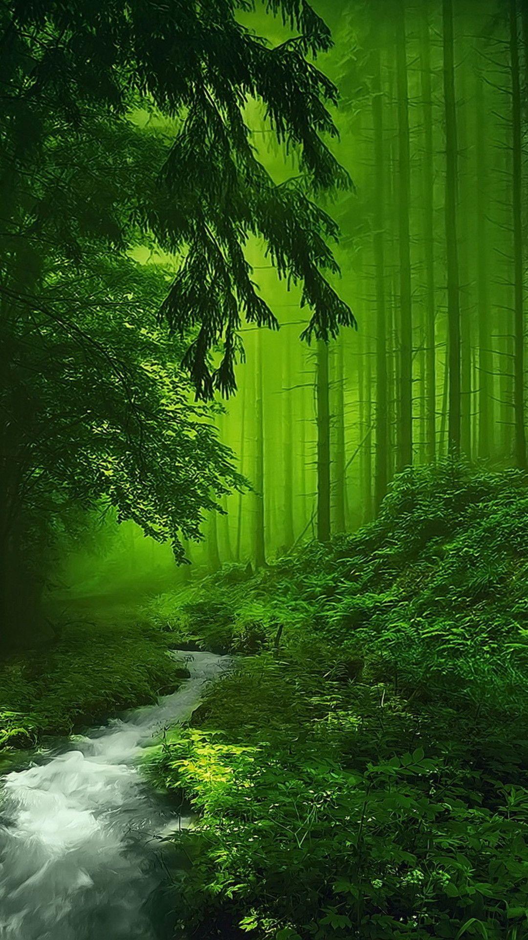 Green Nature Wallpaper Hd