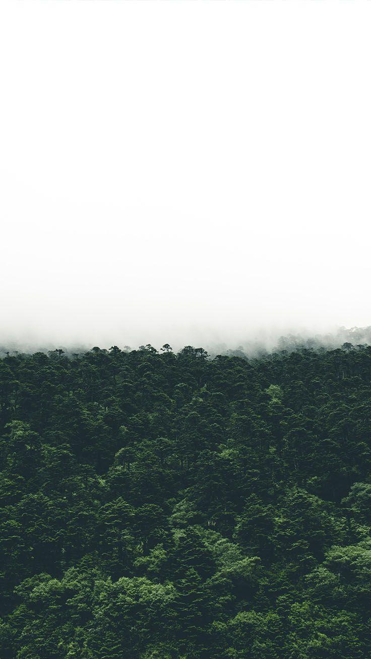 736x1308 Bringing The Forest To You With 9 Free iPhone X Wallpaper