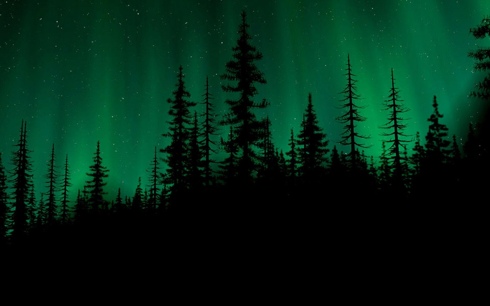 1920x1200 Dark Woods Image Download Free