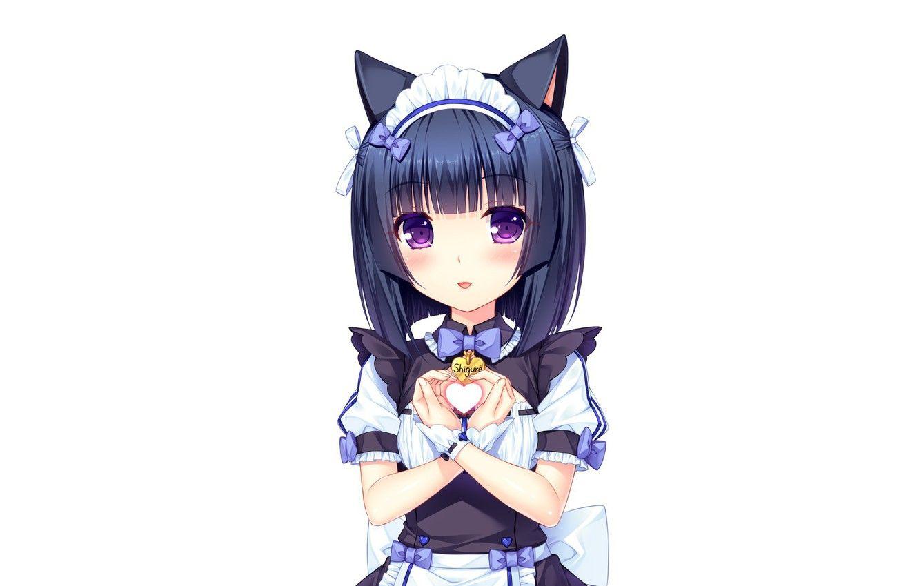 1332x850 Wallpaper kawaii, girl, nothing, anime, cat, pretty, asian, cute