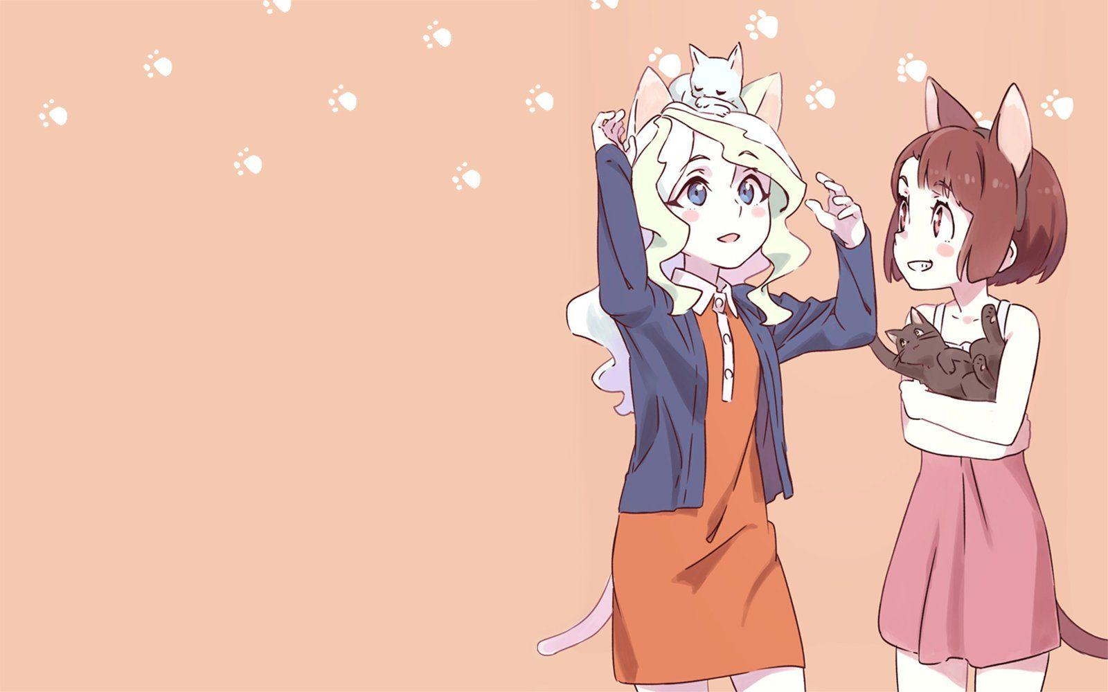 1600x1000 Cat Girl HD Wallpaper and Background Image