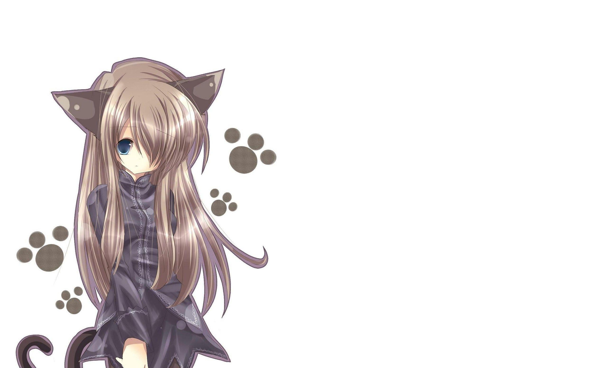 2483x1552 Cat Girl Nekomimi Art Girl Superb Anime Wallpaper HD