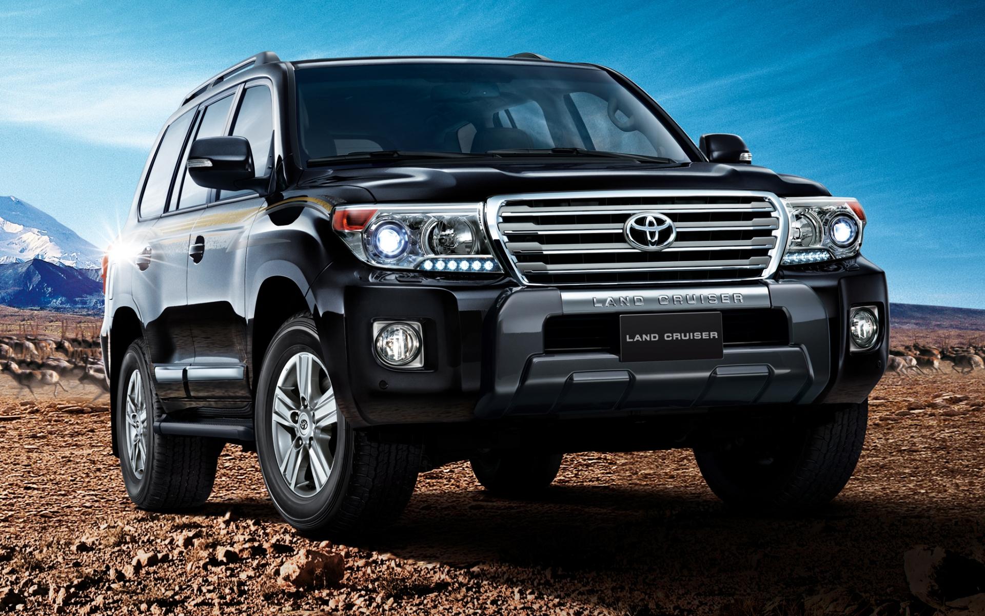 1920x1200 Big Wheels: Which Toyota SUV Suits You