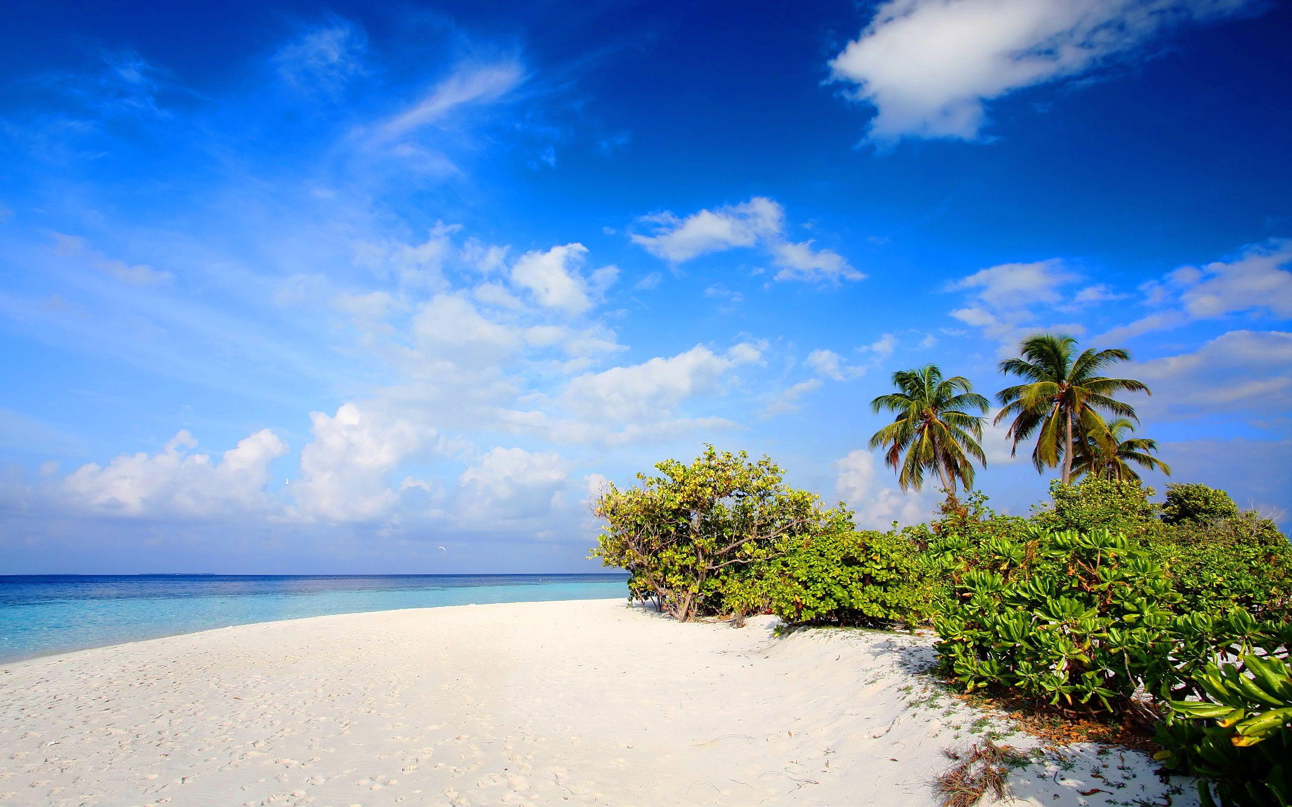 2560x1600 Beach nature wallpaperx1600