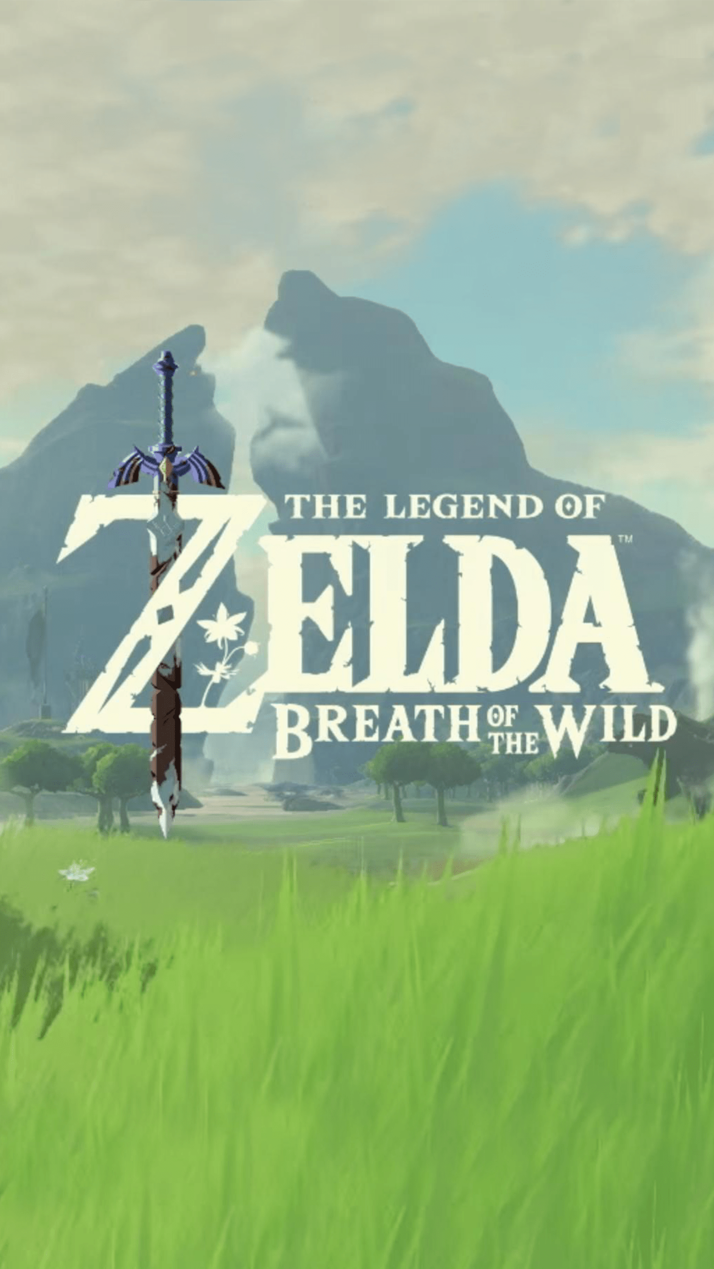 1440x2560 Breath Of The Wild iPhone Wallpaper 3D iPhone Wallpaper