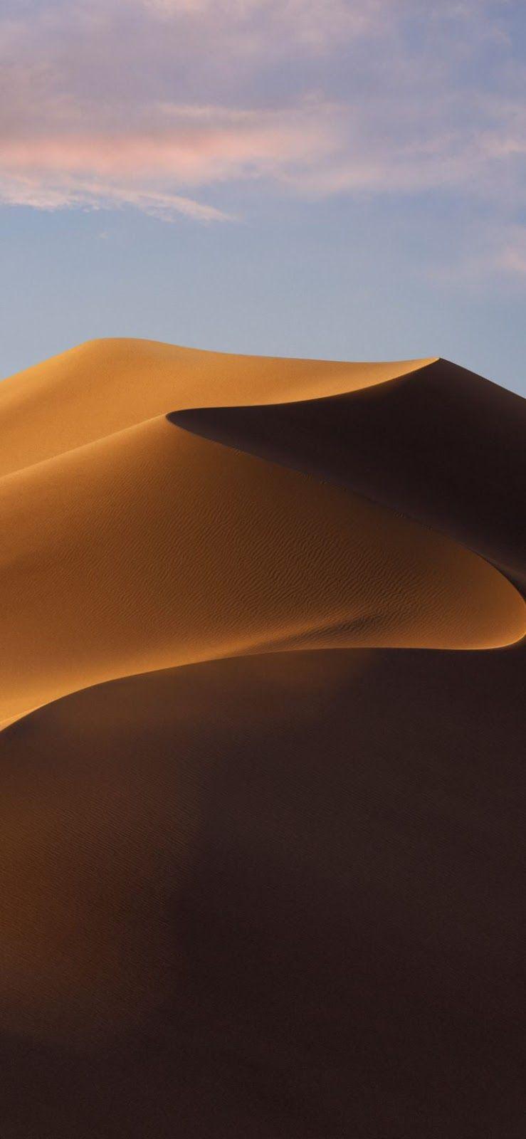 739x1600 Download The macOS 10.14 Mojave Light & Dark Wallpaper