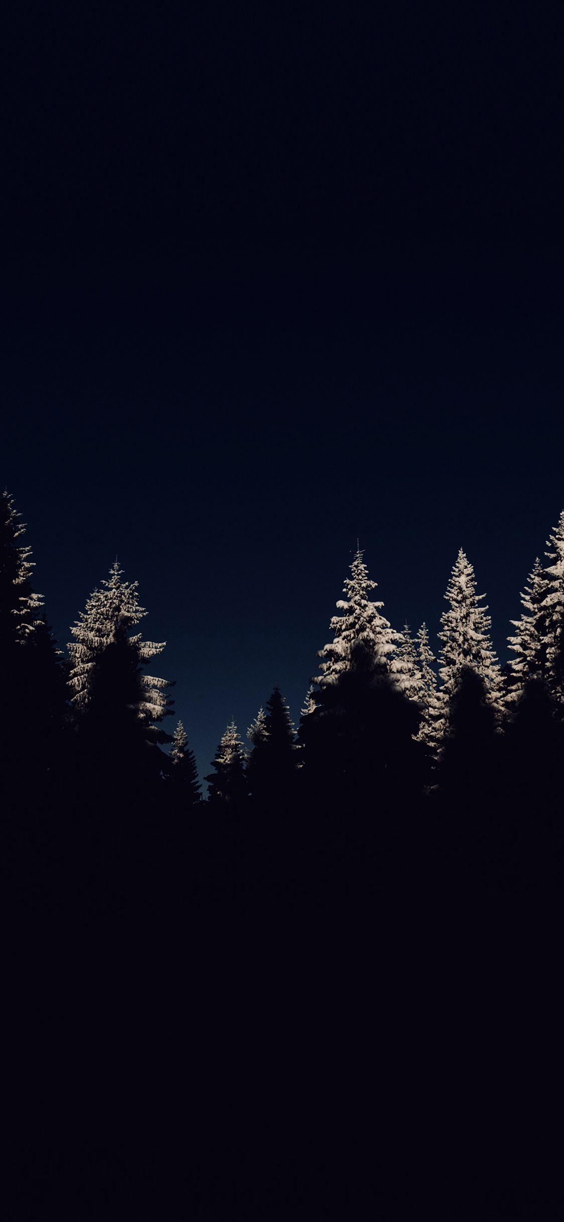 1125x2436 iPhone X wallpaper. wood winter