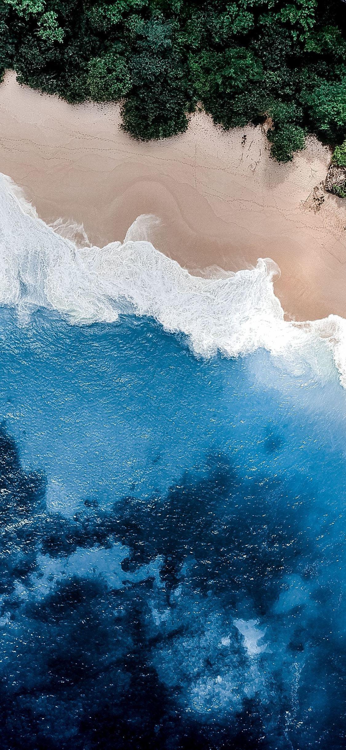 1125x2436 Nature Water Beach Trees 4k iPhone XS, iPhone 10