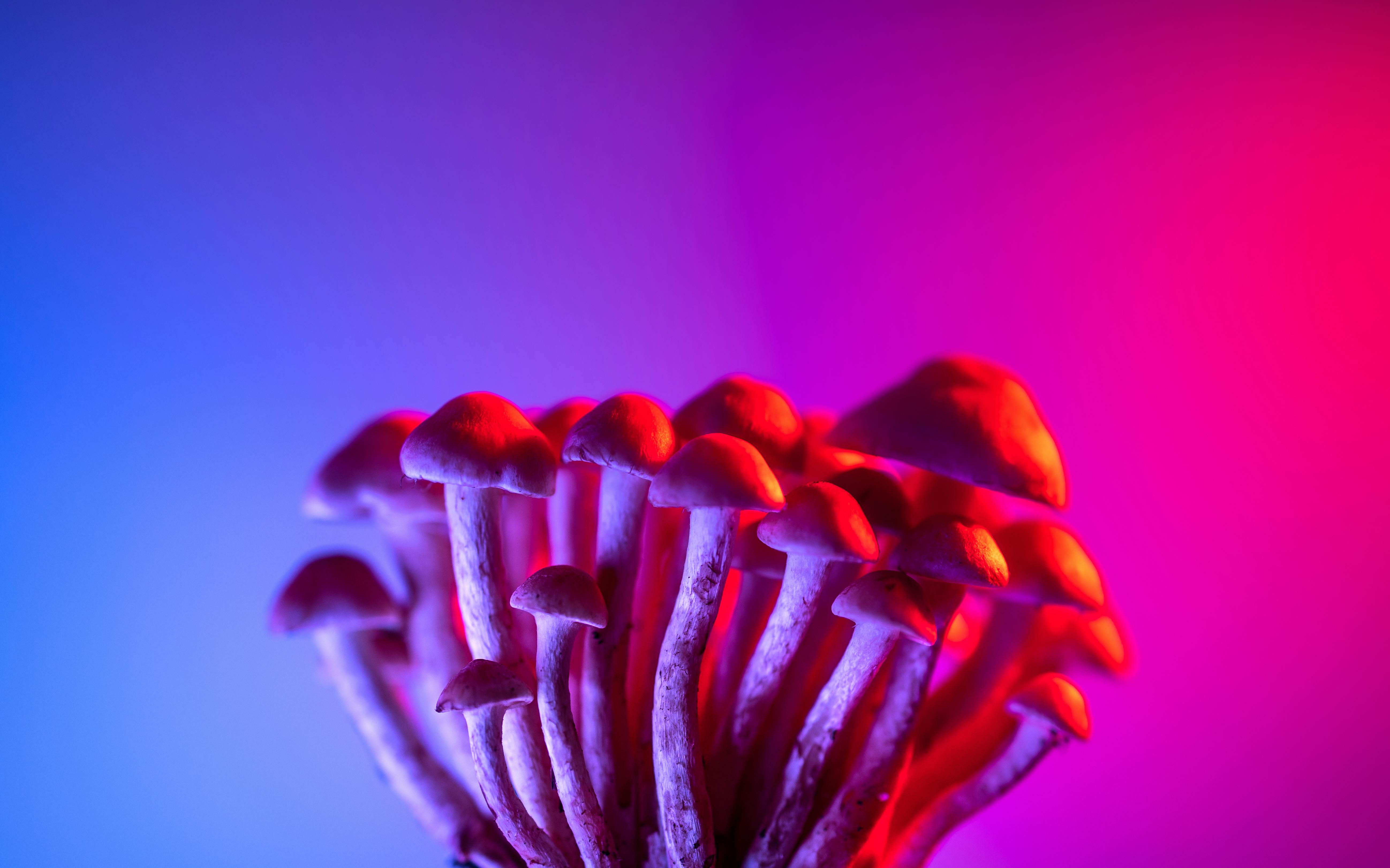5192x3245 Lsd Photo, Download The BEST Free Lsd