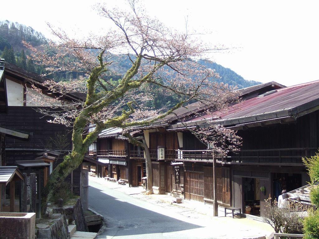 1024x768 The Five Japanese Streets That People of Japan Most Want to Visit
