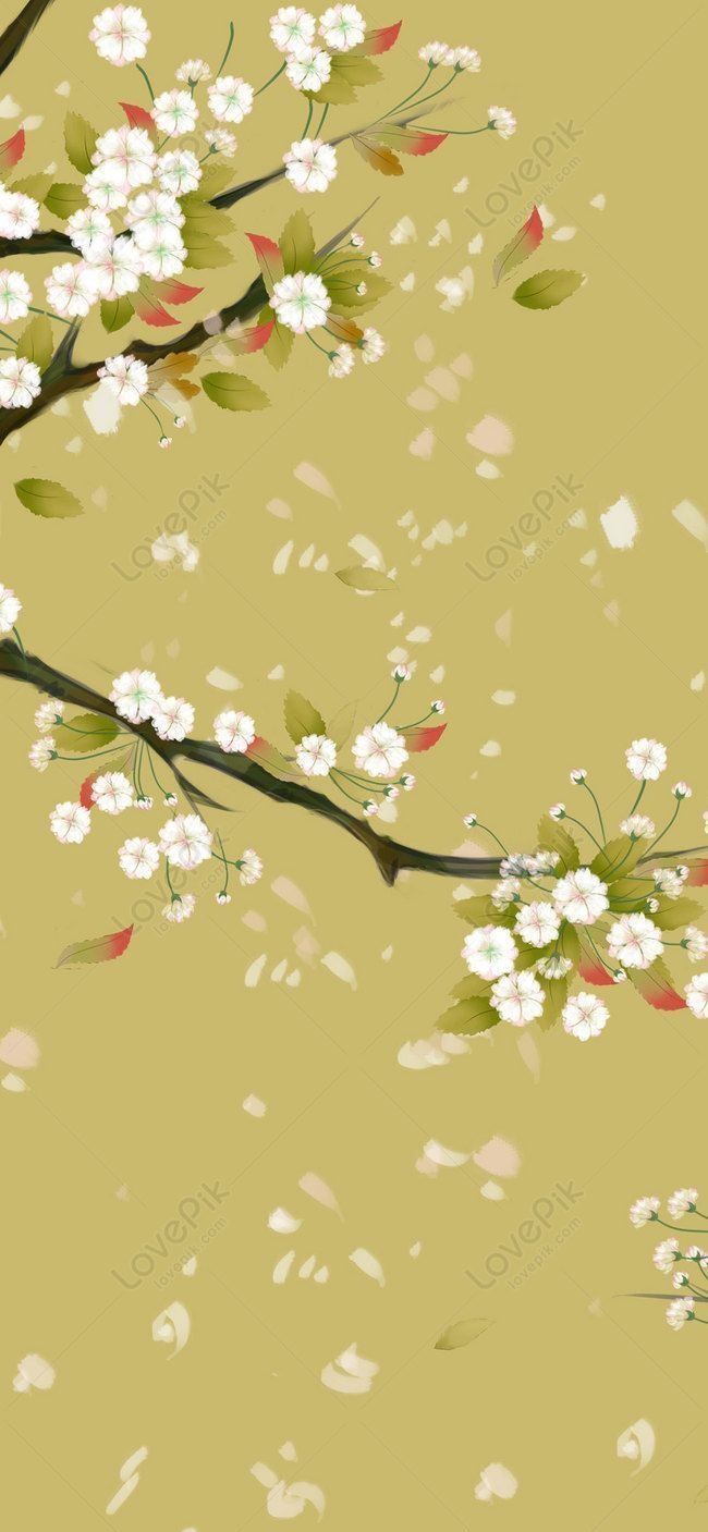 650x1407 Sakura Mobile Wallpaper Image Free