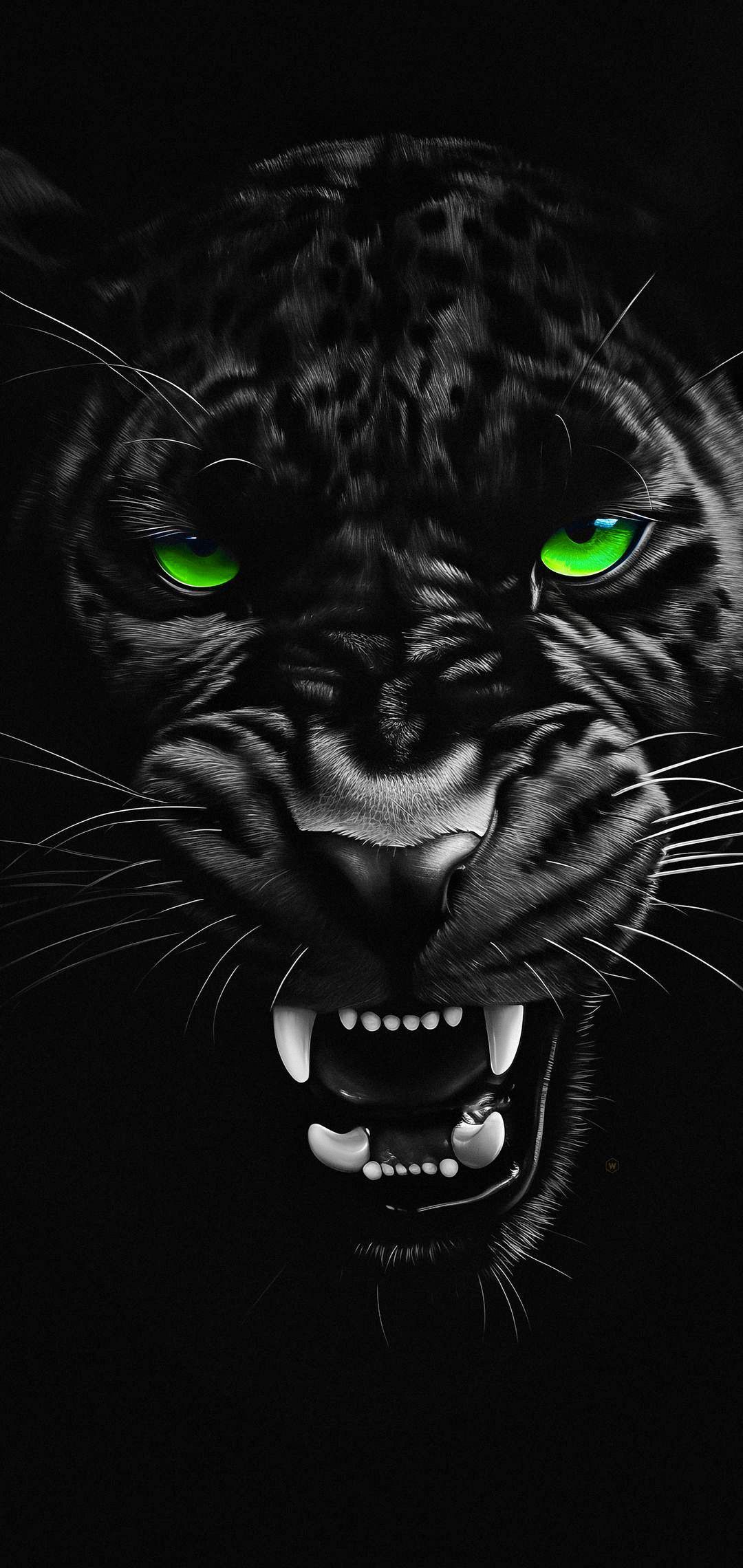 1080x2280 Wallpaper Black Panther, Uefa Champions