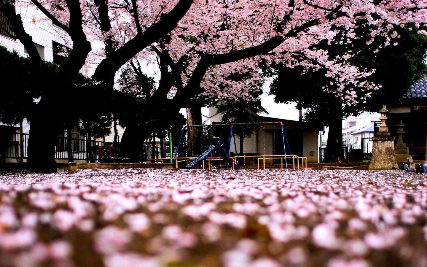 1440x900 Wallpaper Japanese