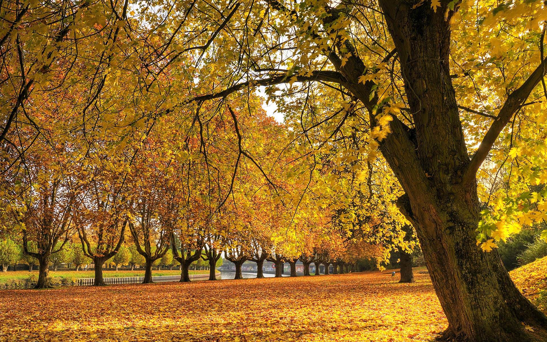 1920x1200 Autumn Nature Wallpaper