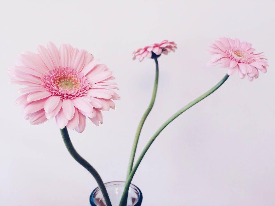 1120x840 How To Use VSCO Filters To Create Beautiful iPhone Photo