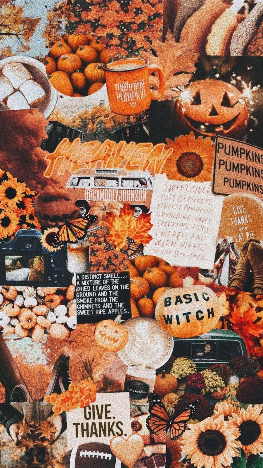 Fall Phone Wallpaper/ Background Aesthetic