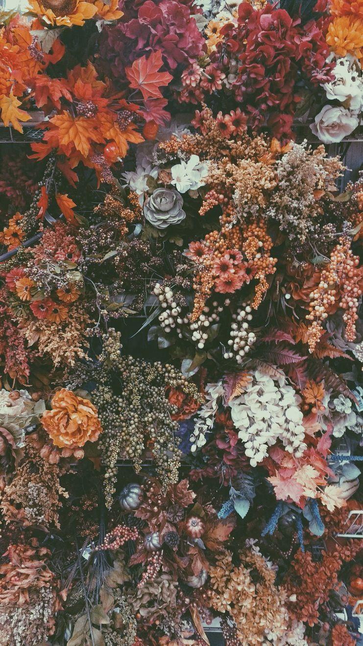 Fall Vsco Wallpapers Top Free Fall Vsco Backgrounds