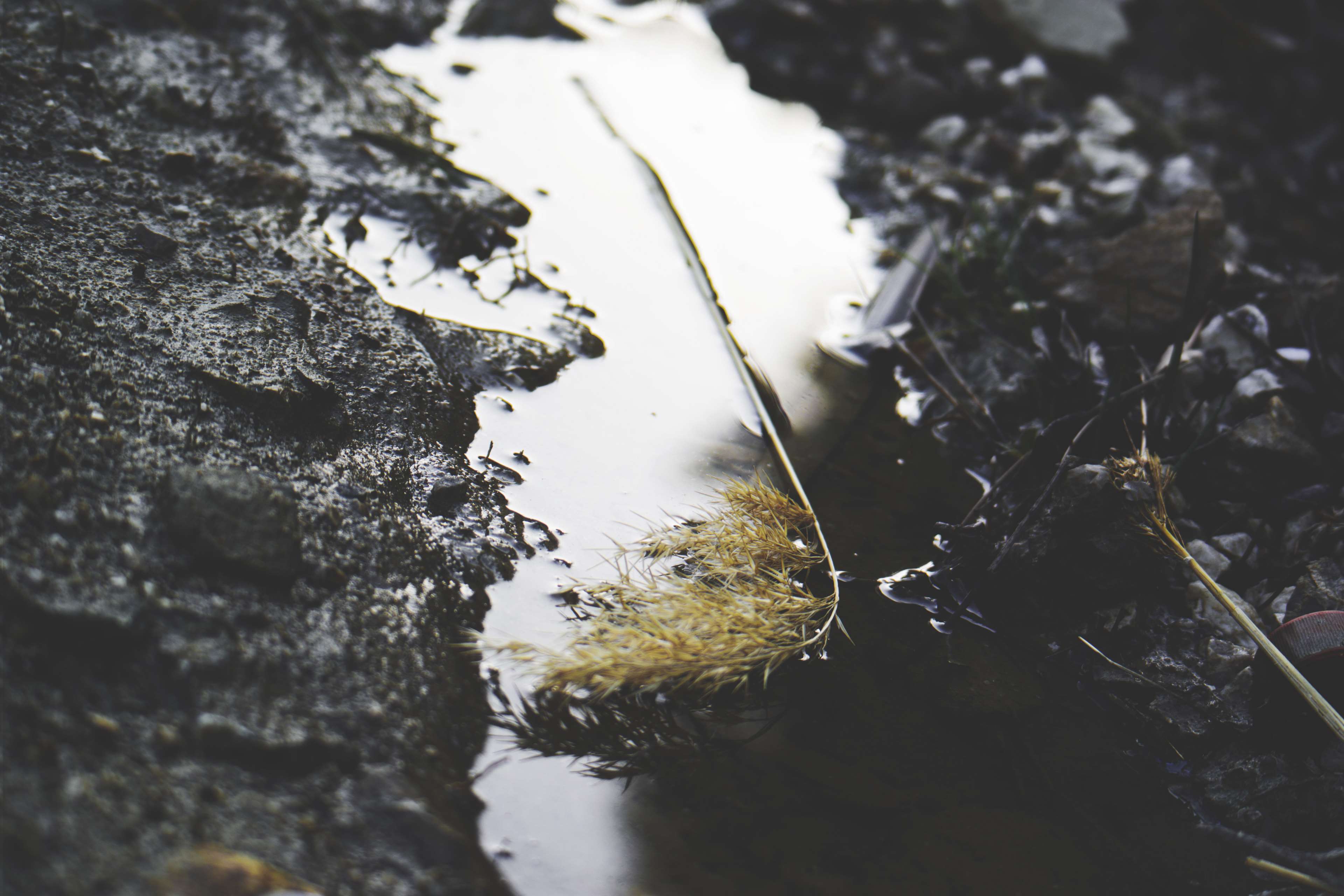 3840x2560 cold, color, environment, fall, flow, h2o, lake