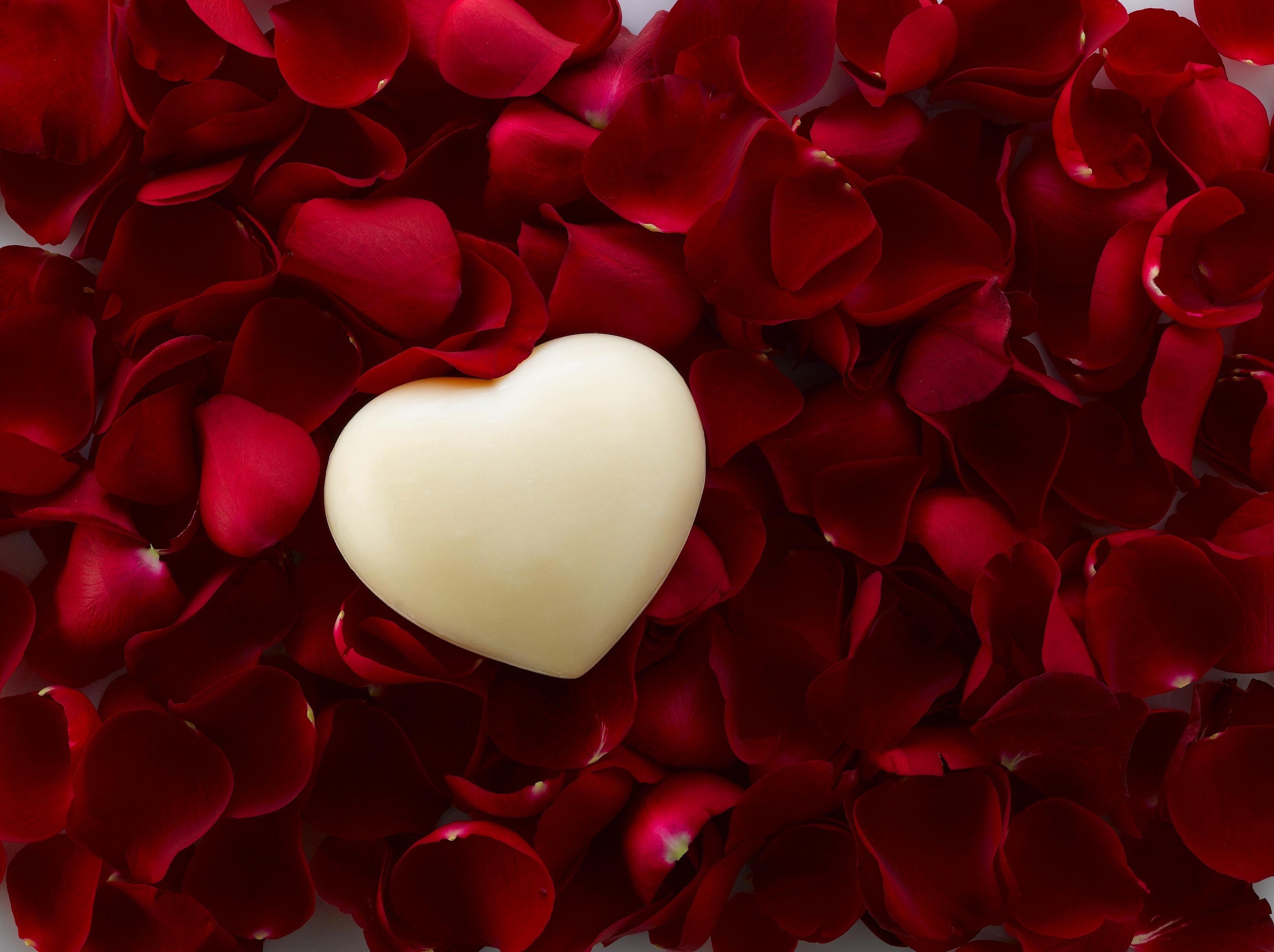 3713x2774 Roses Red Heart wallpaper