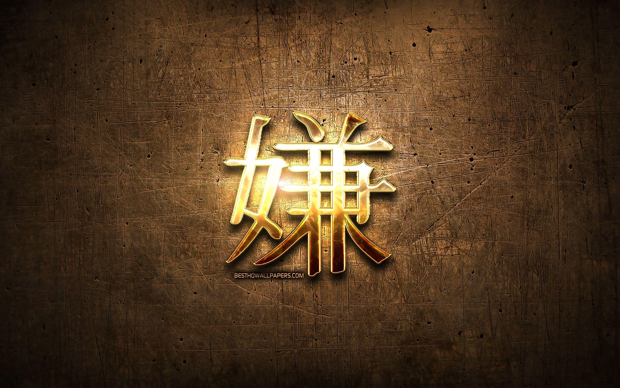 2560x1600 Download wallpaper Hate Japanese character, metal