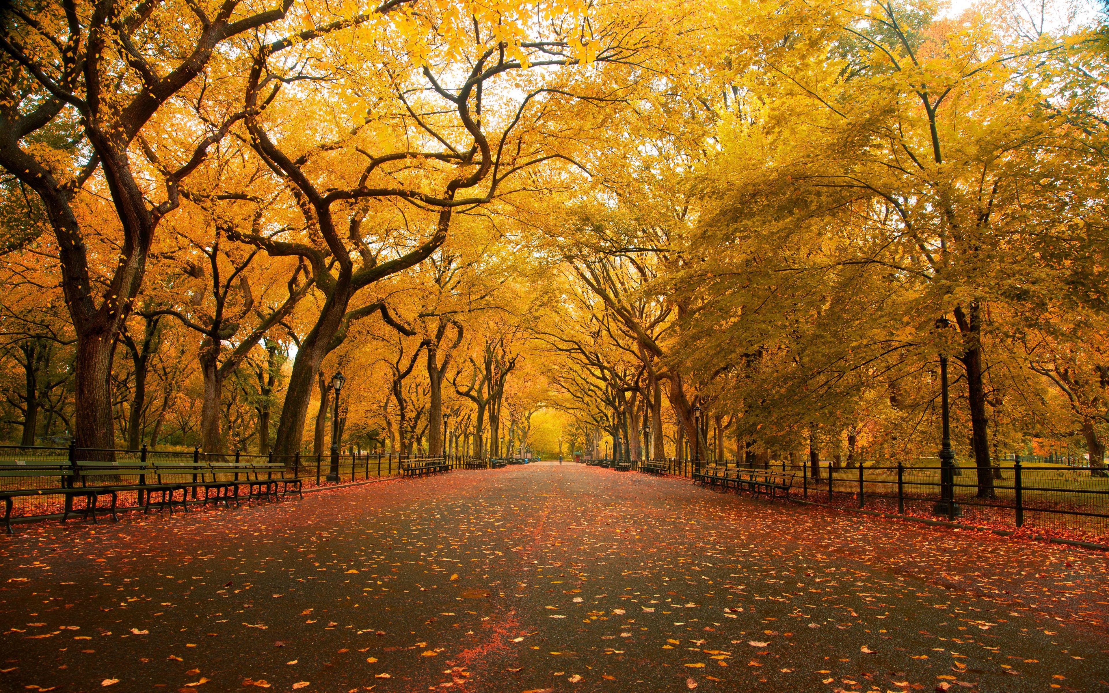 NYC Fall Wallpapers - Top Free NYC Fall Backgrounds - WallpaperAccess