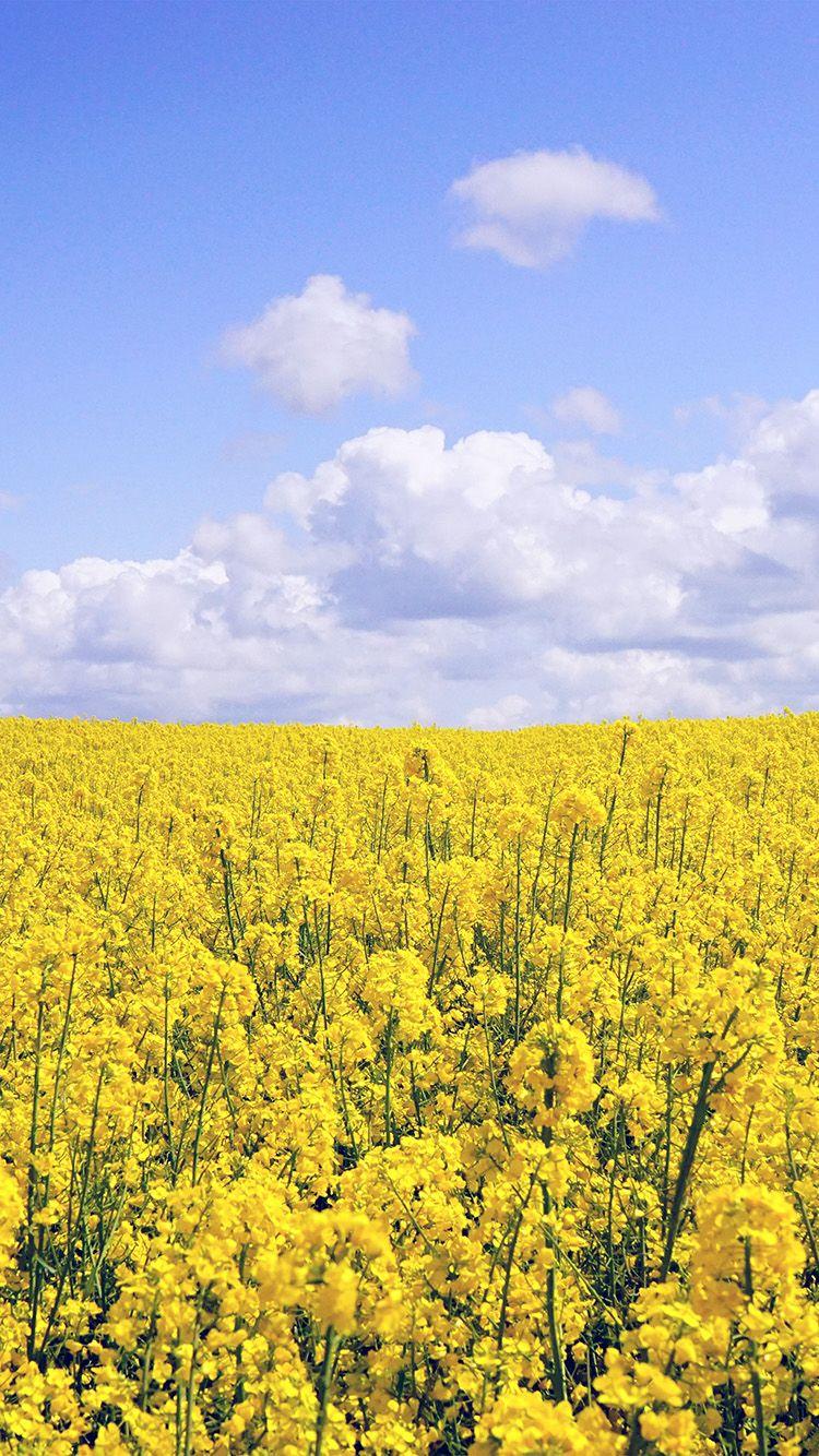 750x1334 iPhone6papers.co. iPhone 6 wallpaper. yellow flower