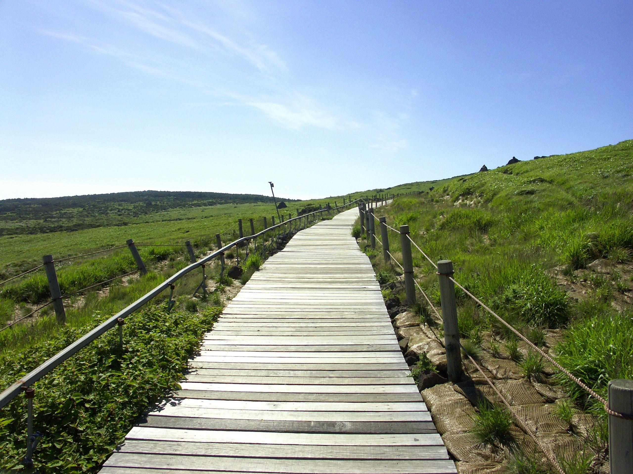 2560x1920 Free of break, jeju island, mountain trail
