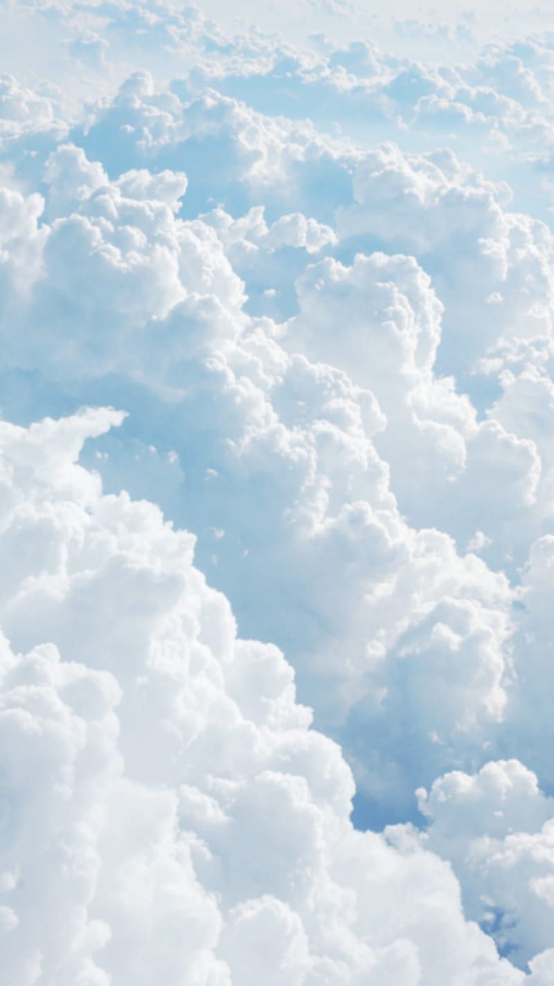 800x1424 HD phone wallpaper