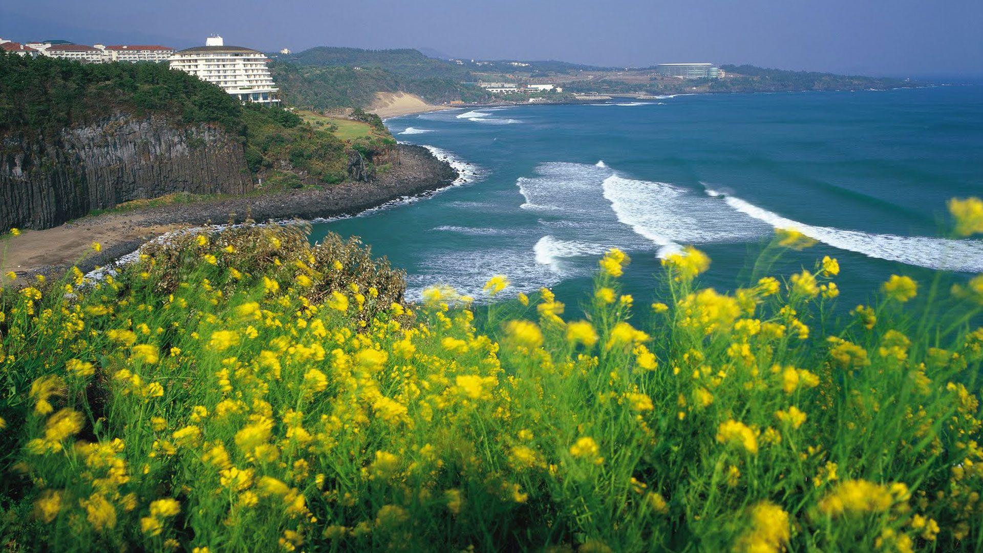 1920x1080 Activities to get the True Essence of Jeju Islands