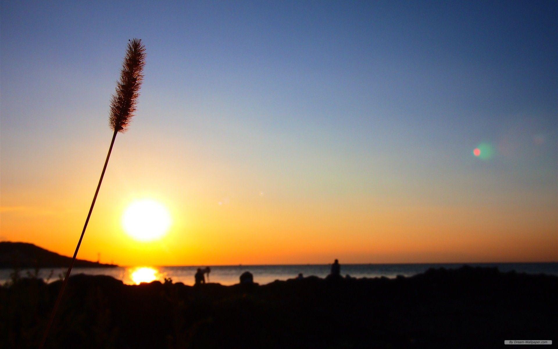 1920x1200 Free Wallpaper Travel wallpaper Island Korea