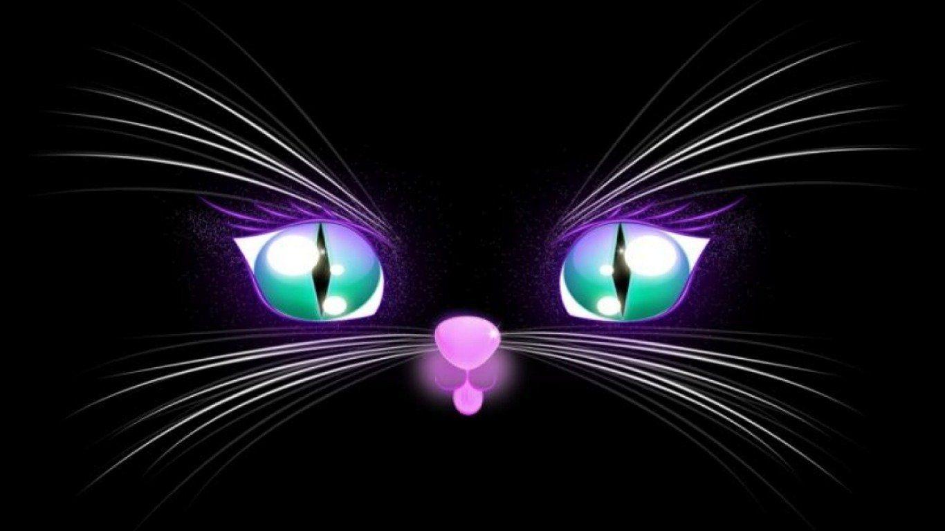 1366x768 Black Kitten Wallpaper and Background Imagex768