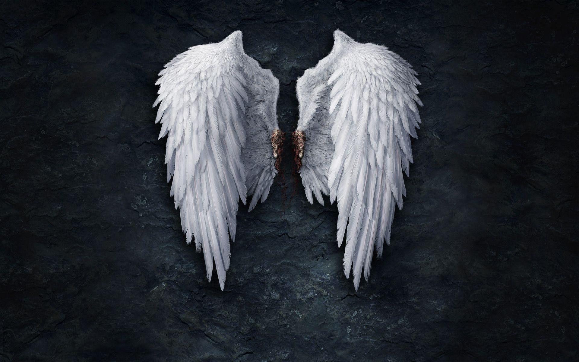 White Angel Wings Wallpapers  Top Free White Angel Wings Backgrounds   WallpaperAccess